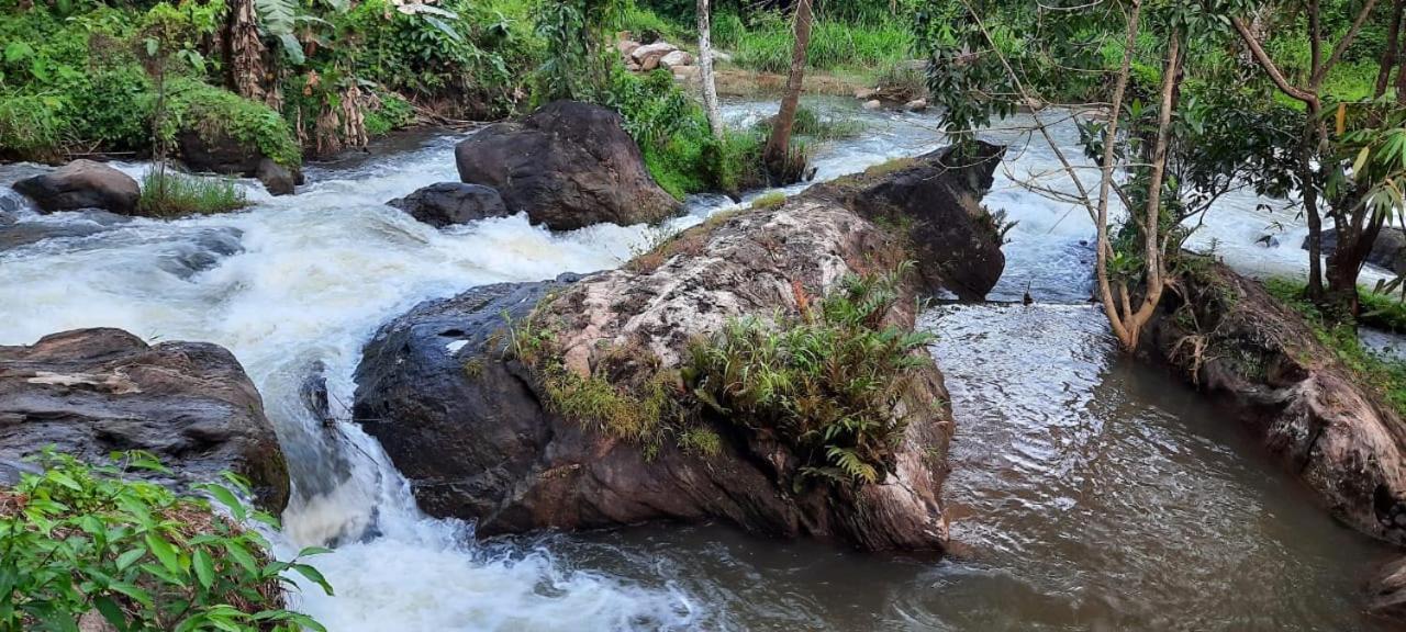 Linn View Home Stay Munnar Zimmer foto